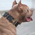 Load image into Gallery viewer, 2" Luxe Martingale Dog Collar - Gold Camo