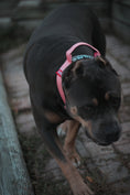Load image into Gallery viewer, 1.5" Tacti Slim Dog Collar - Bubblegum
