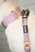 Load image into Gallery viewer, Tacti Luxe Dog Leash - Sofia