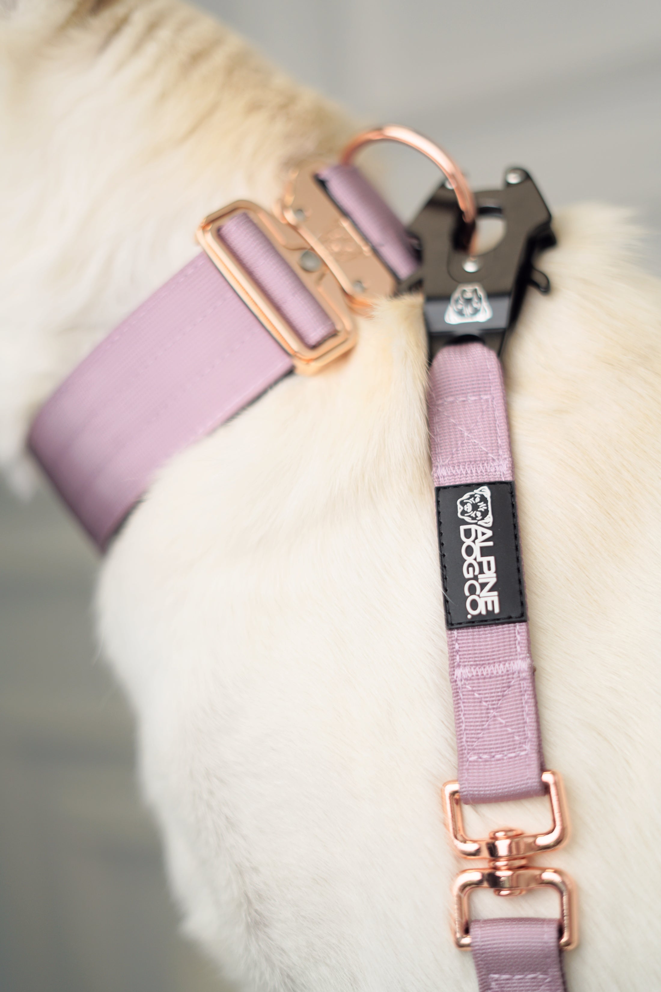 Tacti Luxe Dog Leash - Sofia
