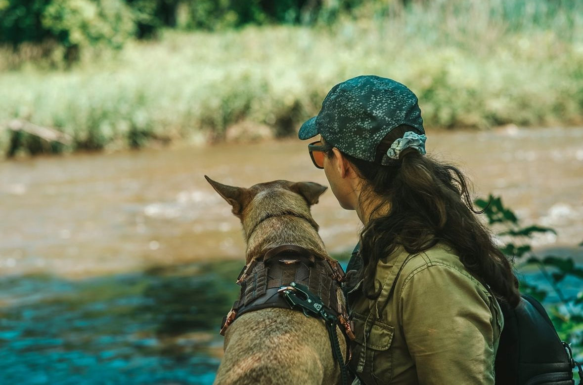 HNTR 3.0 Dog Harness - Chocolate