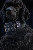 Load image into Gallery viewer, Expedition Dog Collar - Black