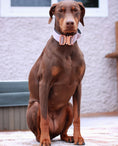 Load image into Gallery viewer, 1.5" Tacti Dog Collar Slim Luxe - Rose Gold - Sofia
