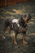 Load image into Gallery viewer, HNTR 3.0 Dog Harness - Beach