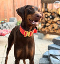 Load image into Gallery viewer, 2" Tacti Luxe Dog Collar - Gold Cognac
