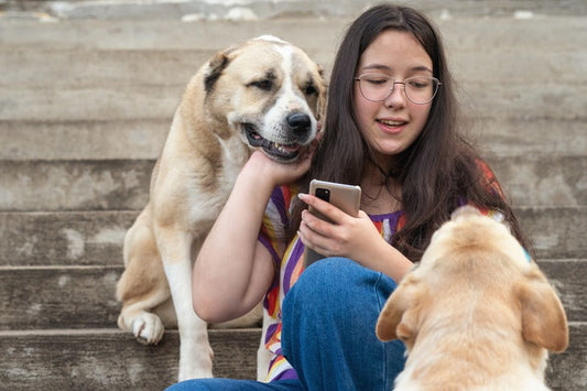 Best Apps to Find a Dog Sitter
