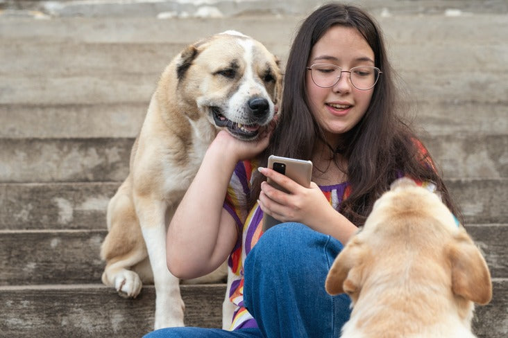 Best Apps to Find a Dog Sitter