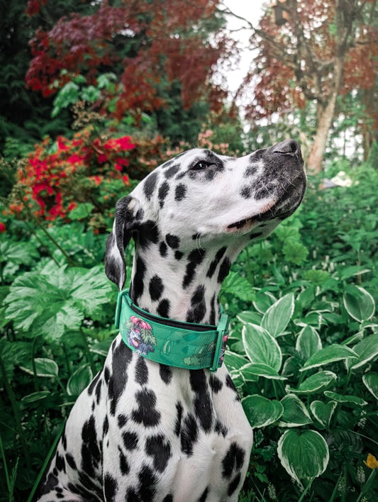2" Tacti Luxe Dog Collar - Bloom (Limited Edition)