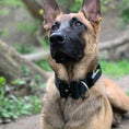 Load image into Gallery viewer, 2" Tactik Dog Collar - Black