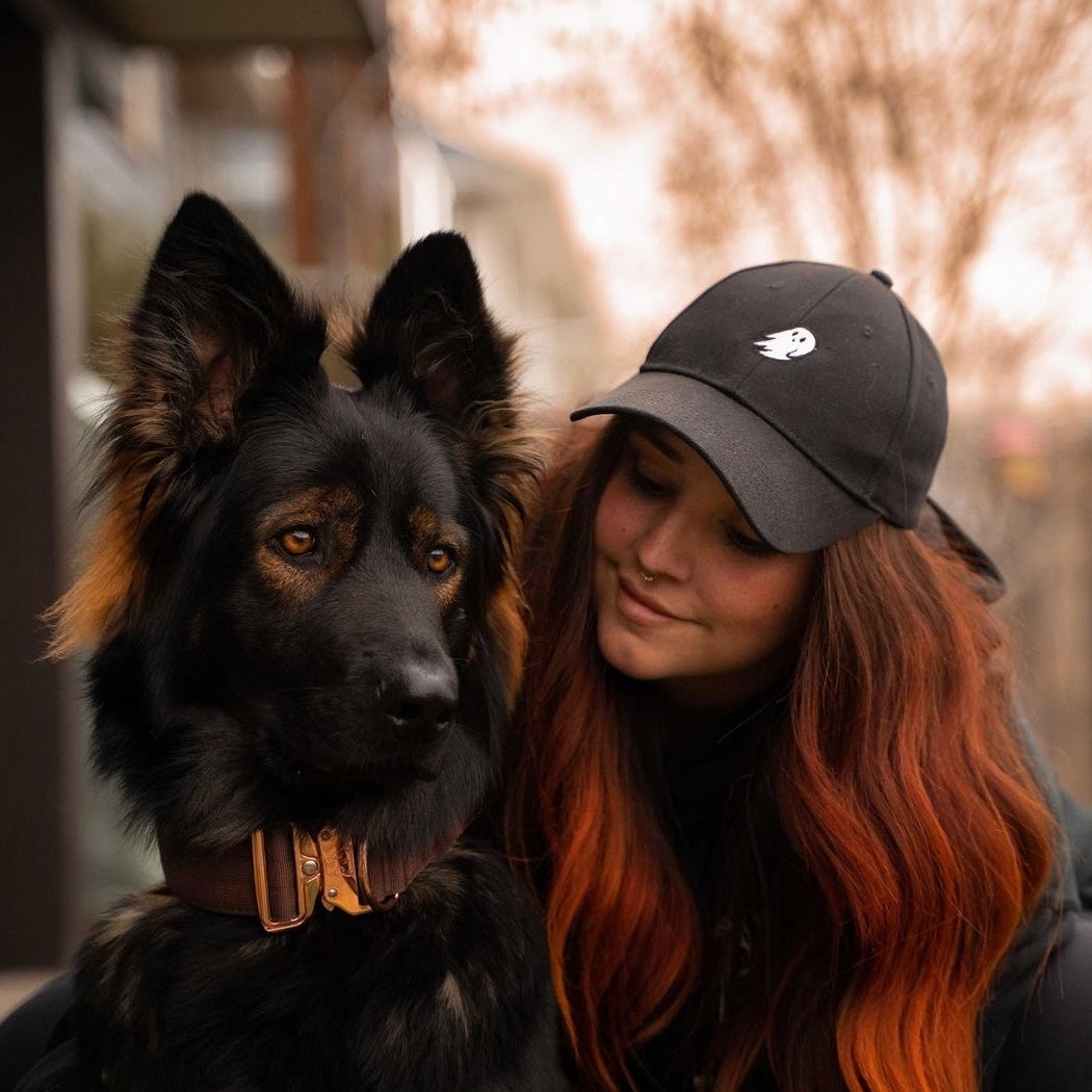 2" Tacti Luxe Dog Collar - Rose Gold - Chocolate