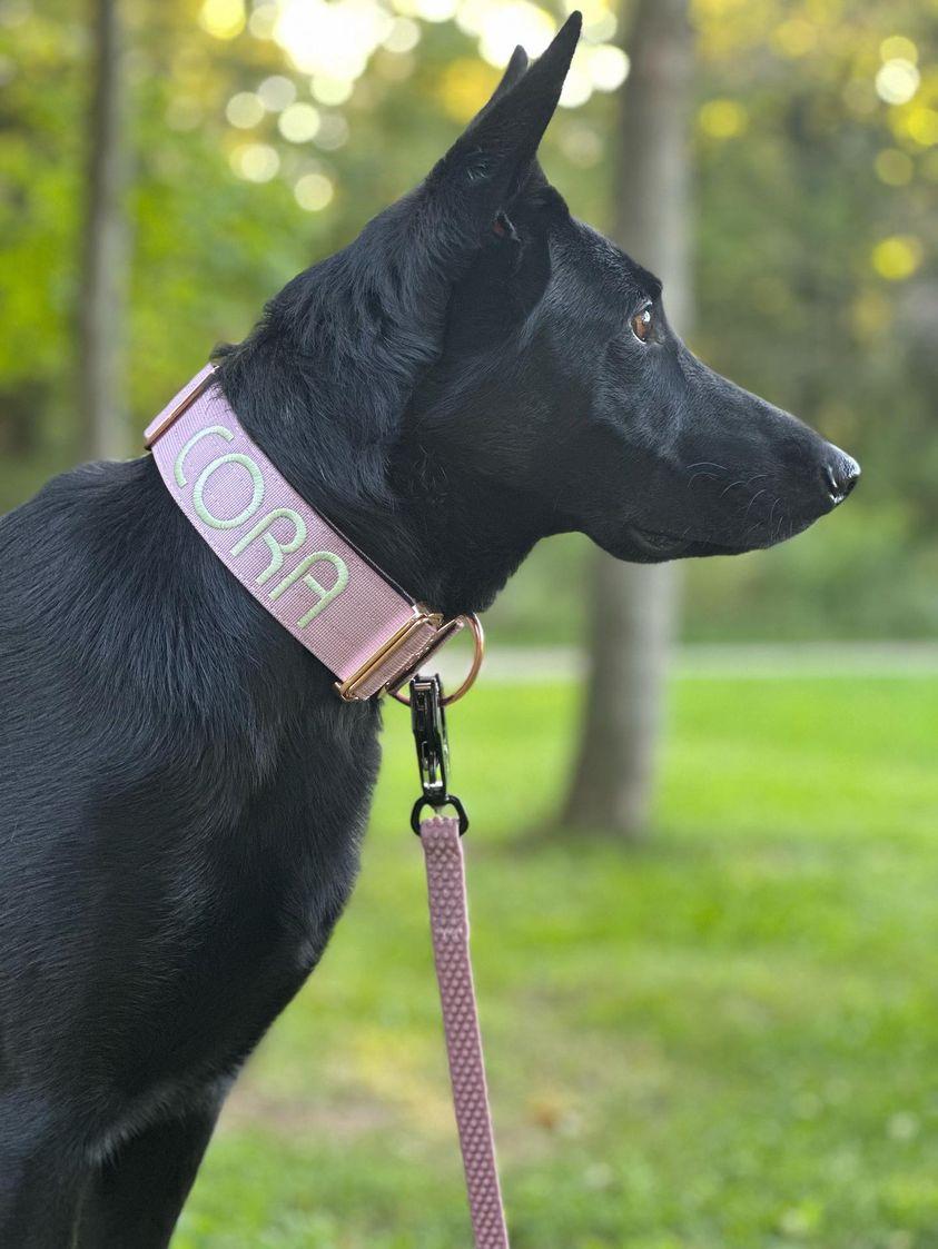 TRUEGRIP Dog Leash - Sofia