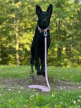 Load image into Gallery viewer, TRUEGRIP Dog Leash - Sofia