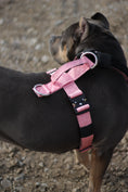 Load image into Gallery viewer, Terrain Dog Airtag Harness - Black