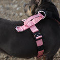 Load image into Gallery viewer, Terrain Dog Airtag Harness - Bubblegum
