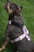 Load image into Gallery viewer, Terrain Dog Airtag Harness - Sofia
