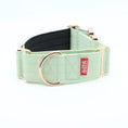 Load image into Gallery viewer, 2" Luxe Martingale Dog Collar - Rose Gold - Honeydew