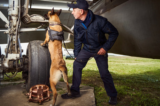 Gear Up - The Best Tactical Dog Harnesses for Working Dogs