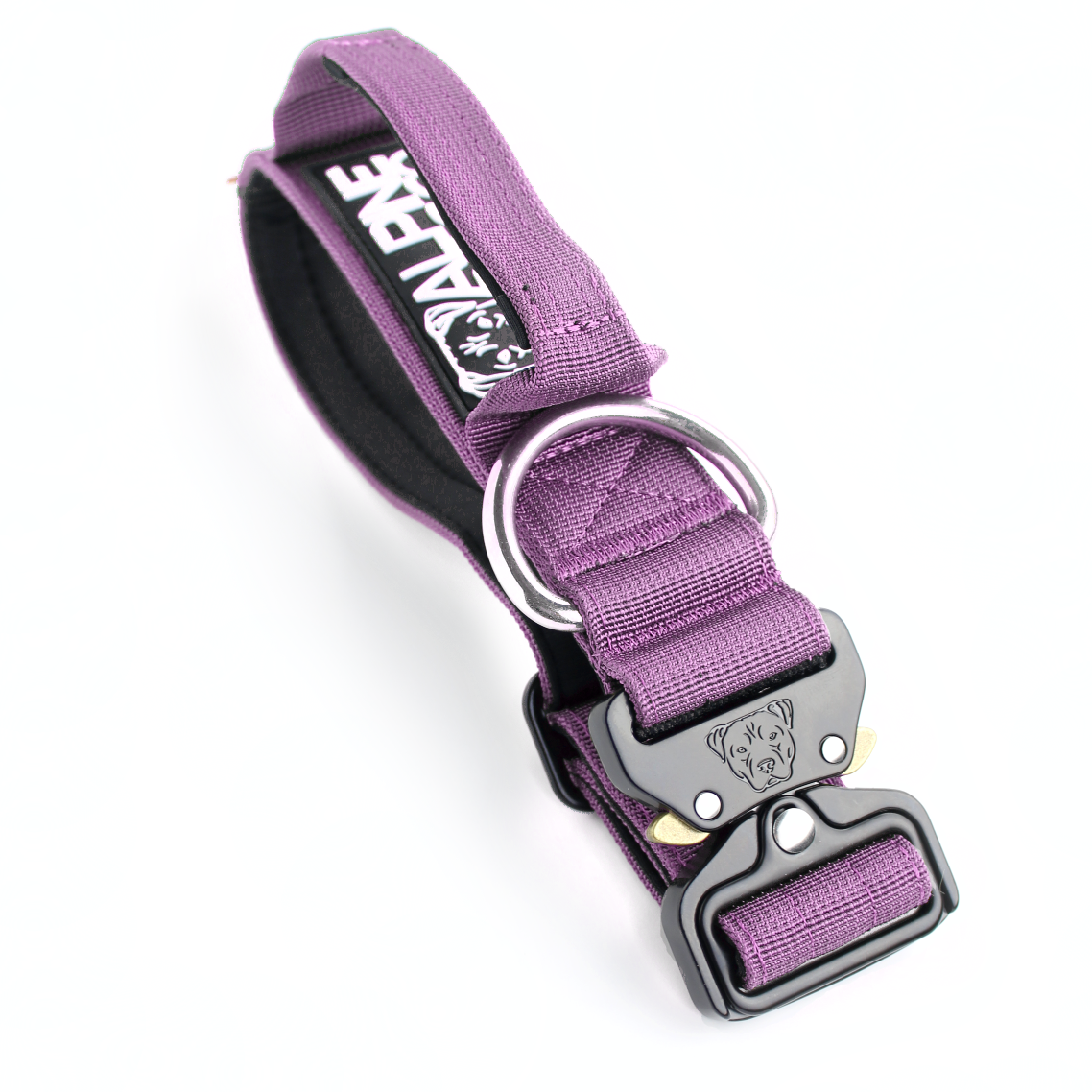 1.5" Tacti Slim Dog Collar - Grape
