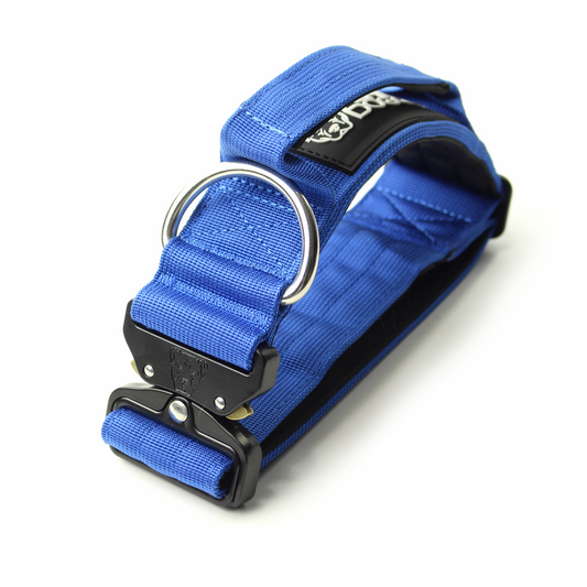 2" Tactik Dog Collar - Cobalt