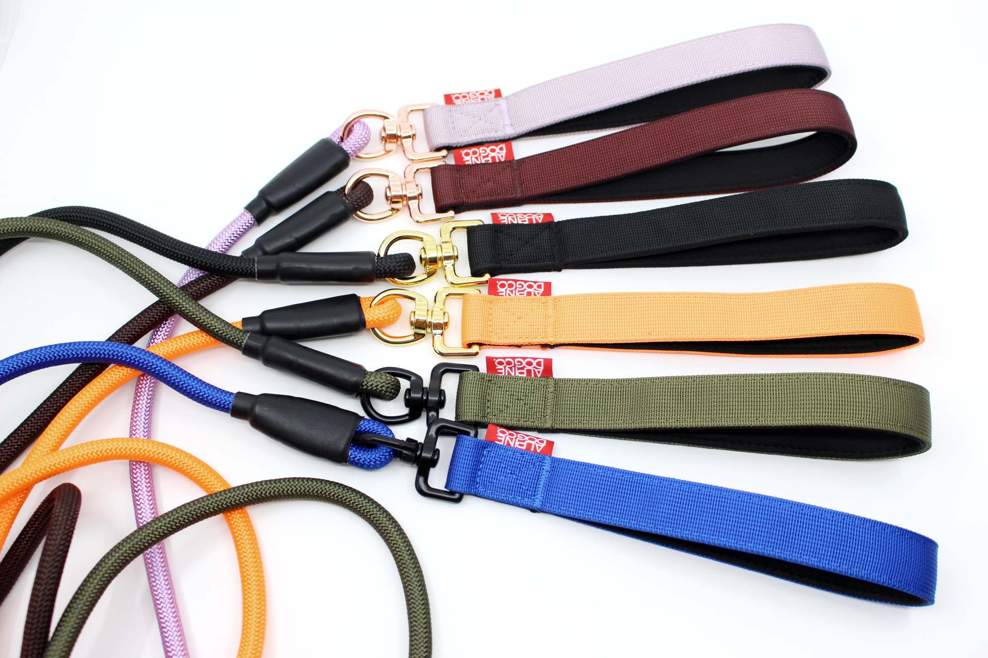 Dog Slip Lead - Noir