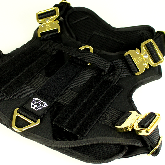 HNTR 3.0 Dog Harness - Noir