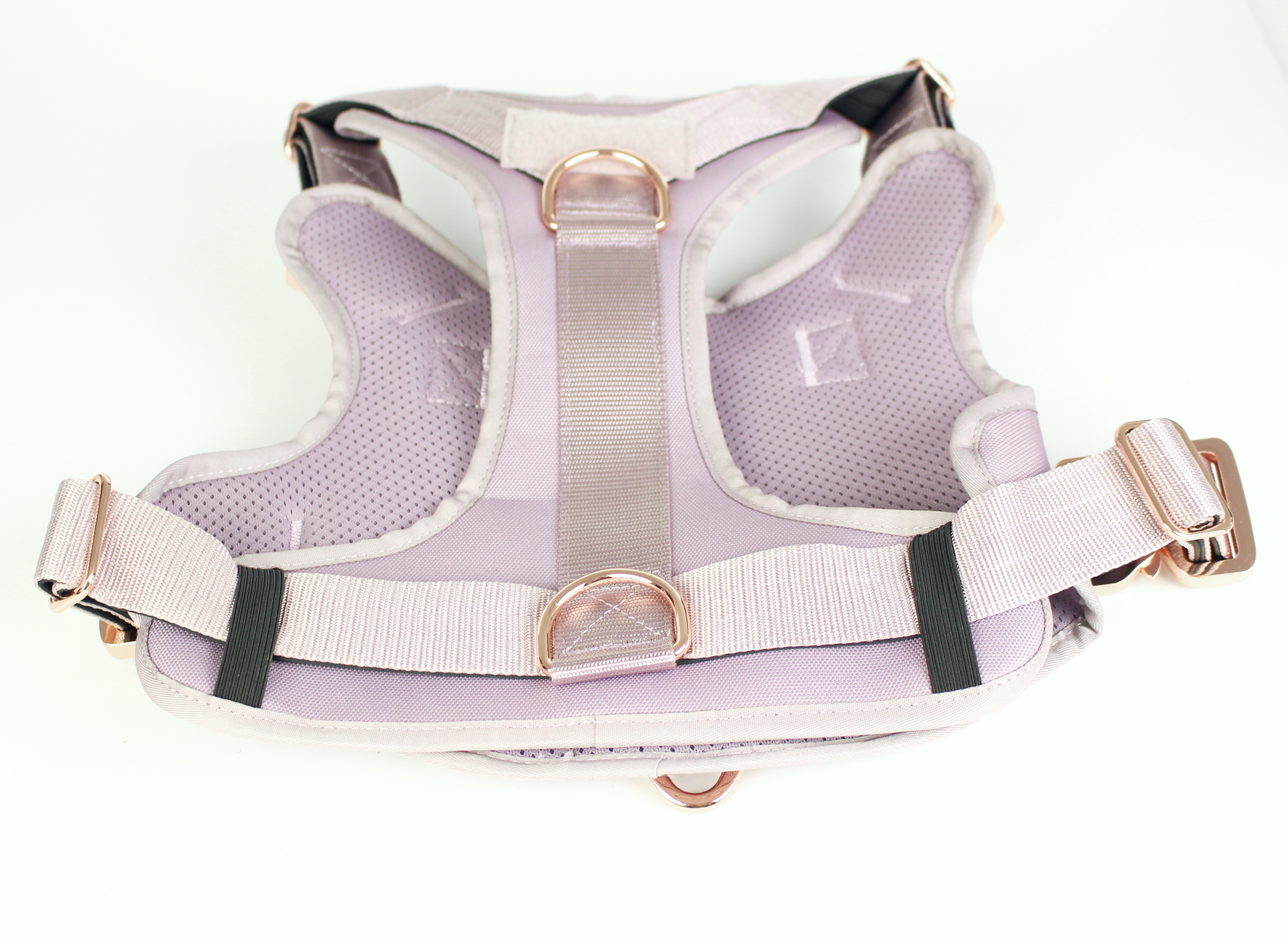 HNTR 3.0 Dog Harness - Sofia