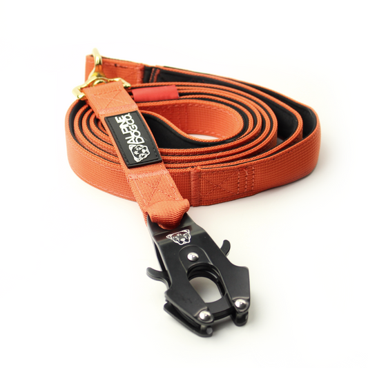 Tacti Luxe Dog Leash - Gold Cognac
