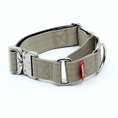 Load image into Gallery viewer, 1.5" Luxe Martingale Dog Collar - Beach
