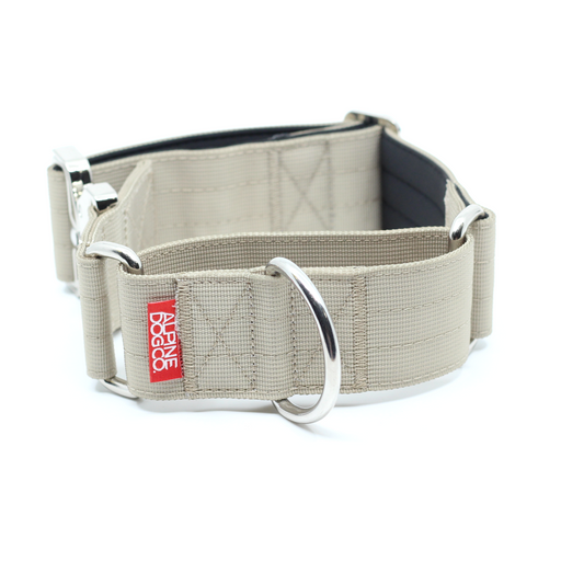 2" Luxe Martingale Dog Collar - Beach