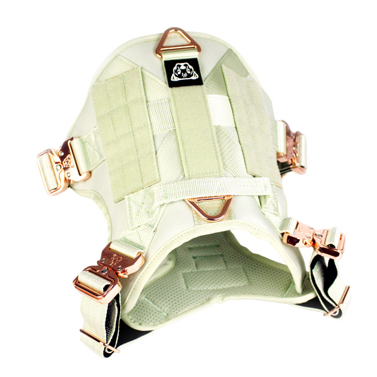 HNTR 3.0 Dog Harness - Honeydew