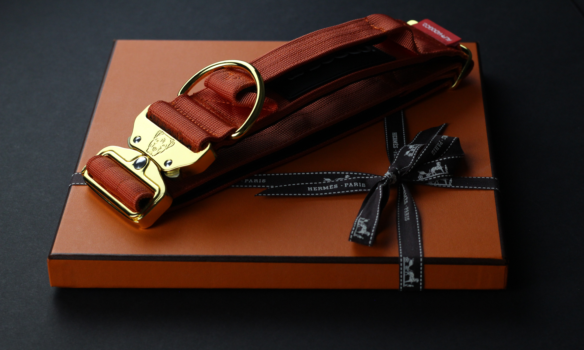 2" Tacti Luxe Dog Collar - Gold Cognac