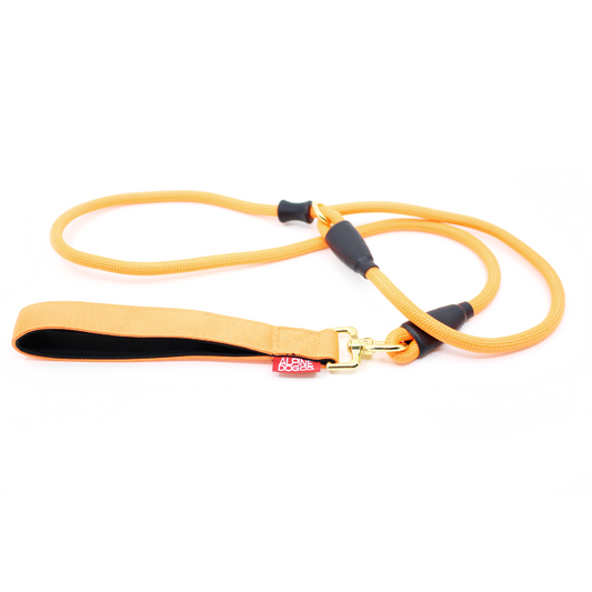 Dog Slip Lead - Mango